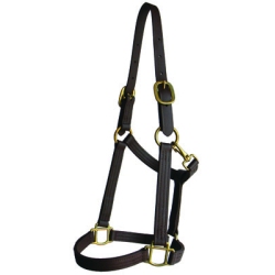 Show Halter