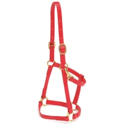 Beta Halter