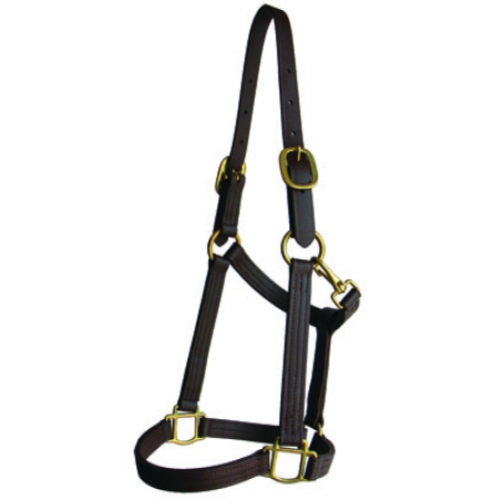 Show Halter_1